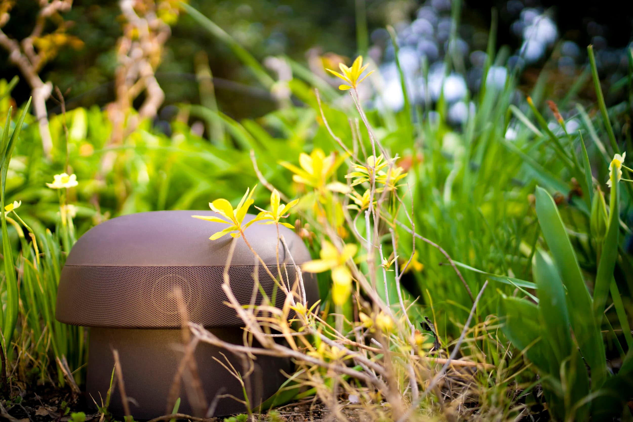 Garden & Outdoor Speakers